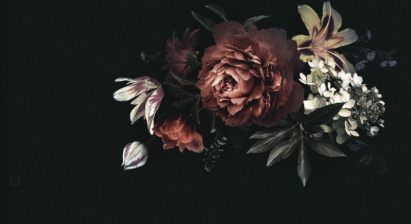 Dark Romance floral and botanical wallpaper – LH Lifestyle
